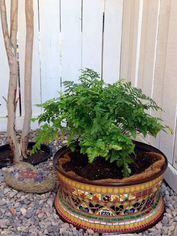 植木鉢のデザインのための素晴らしいアイデアそれを自分でやる