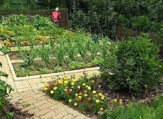 ¡Soda, sal, kéfir y levadura serán útiles en el jardín!