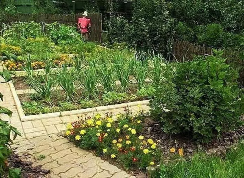 Soda, Salz, Kefir und Hefe werden im Garten nützlich sein!