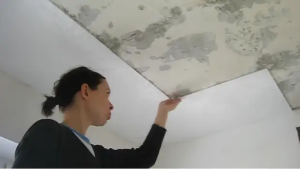 It plafond type makke fan polystyrene is heul kaprisearjend yn wurking. | Foto: youtube.com.