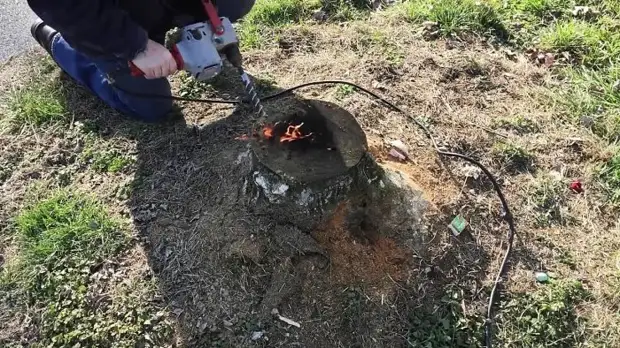 Sådan fjerner du bare stumpen uden vanding