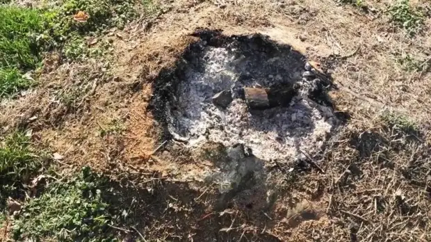 Kako jednostavno ukloniti panj bez navodnjavanja