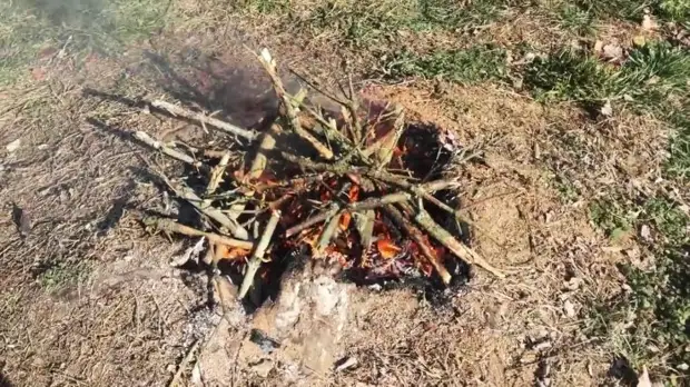 Kako samo ukloniti panj bez navodnjavanja