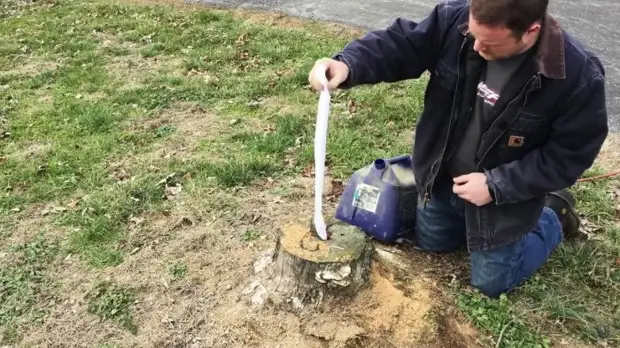 Sådan fjerner du bare stumpen uden vanding