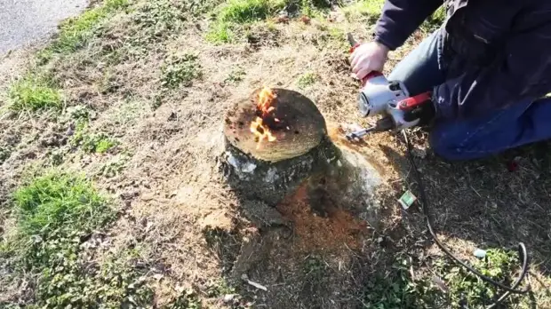 ജലസേചനമില്ലാത്ത സ്റ്റമ്പ് എങ്ങനെ നീക്കംചെയ്യാം