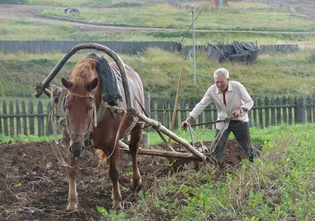 Por que é impossível sobreviver com a fazenda natural na Rússia!