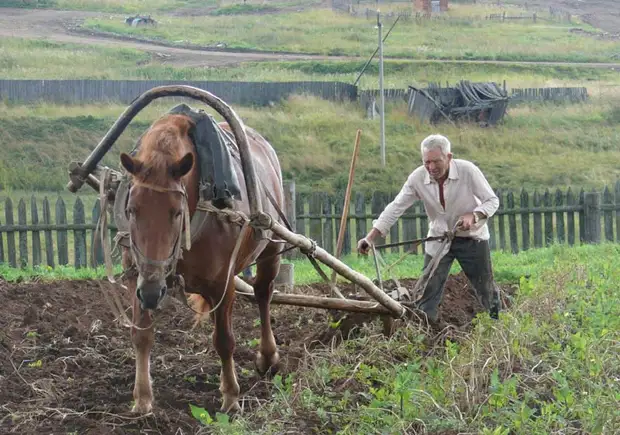 Zergatik ezinezkoa da Errusiako baserri naturalarekin bizirautea!