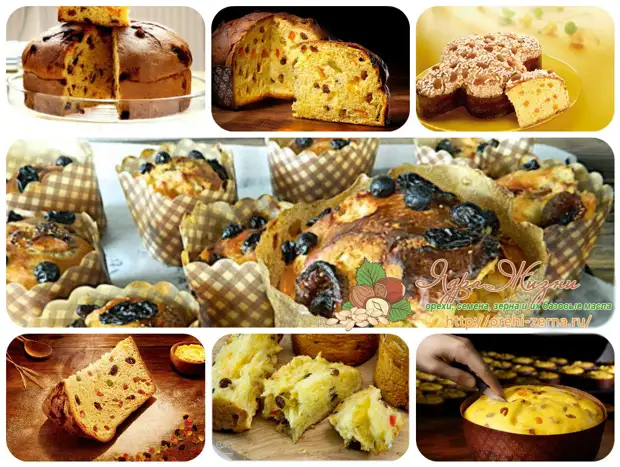 Снимки по заявка Италианска торта - Panettone (Panettone) \ t