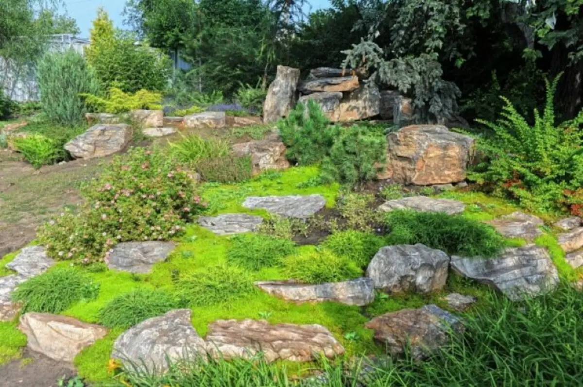 Švédska rozprávka vo vašej záhrade: 11 Scandinavian Garden Create Rady