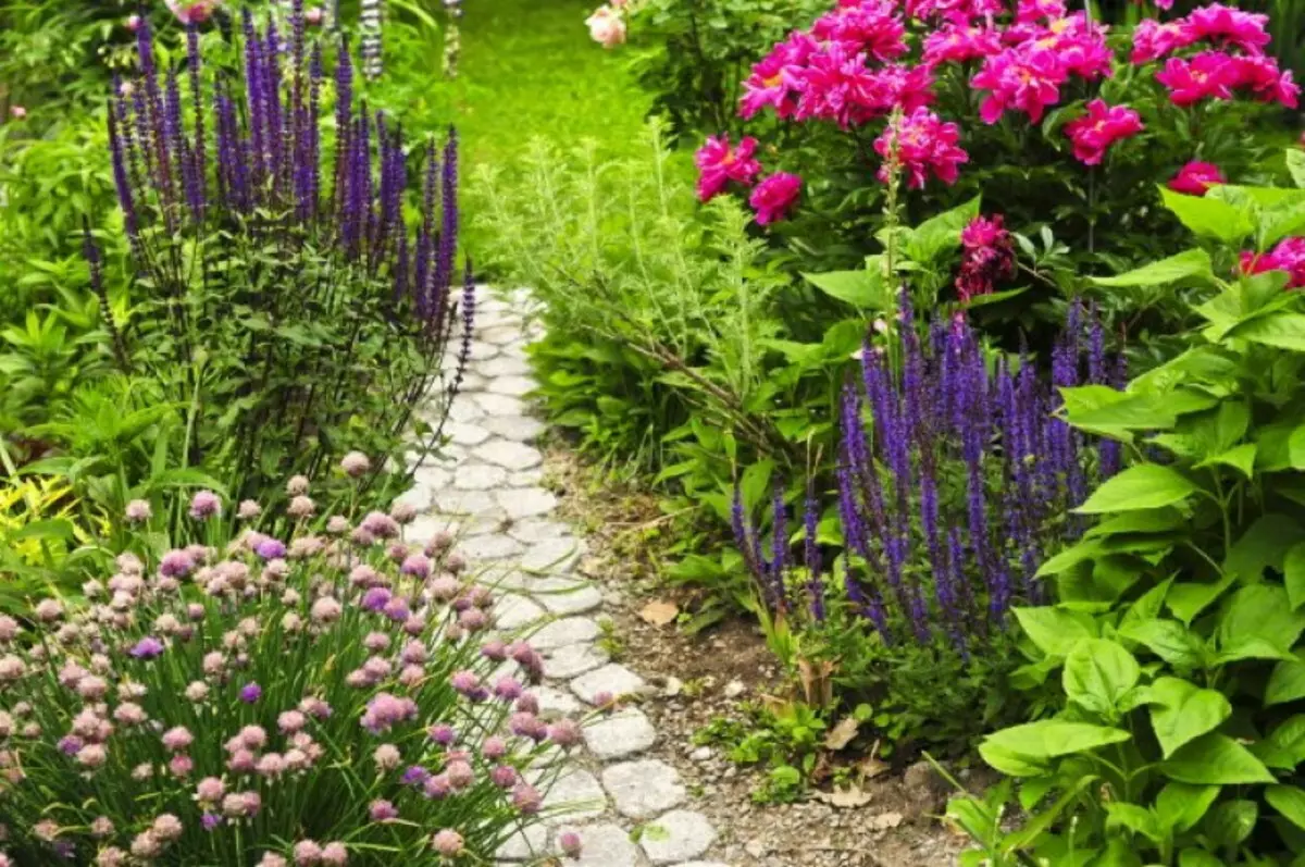 Švédska rozprávka vo vašej záhrade: 11 Scandinavian Garden Create Rady