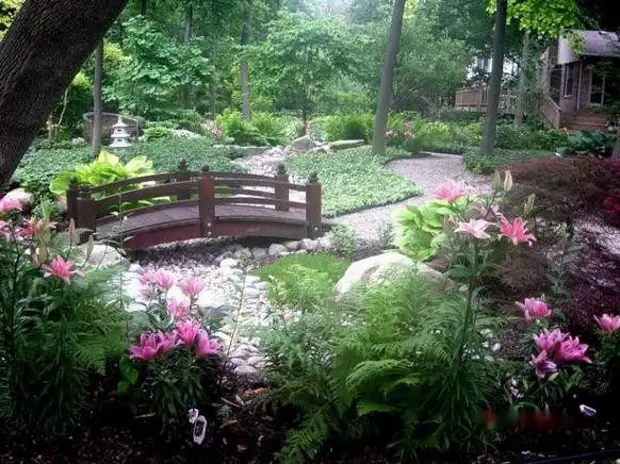 Suhi Creek - Landscape Design Element