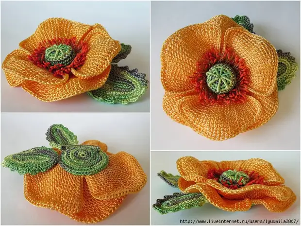 Orange_poppy (700x525, 360B)