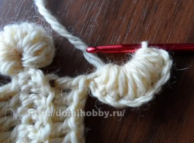 Crochet sareng fesons