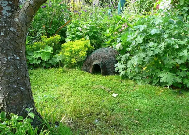 Com construir una casa per a un eriçó: 16 idees per a un jardí privat