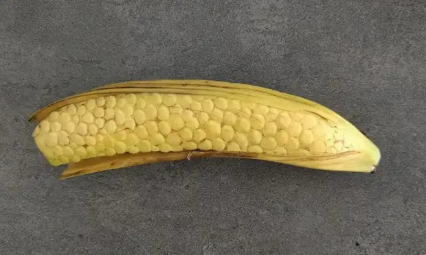 Ealaín Banana