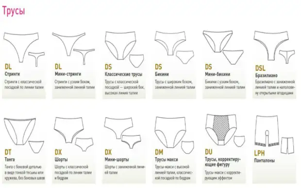 Tableau dans lequel les principaux types de culottes sont décrits.