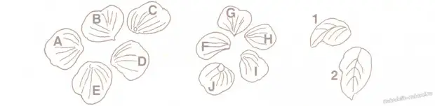 Mga Pansies - TomoTric Embroundery