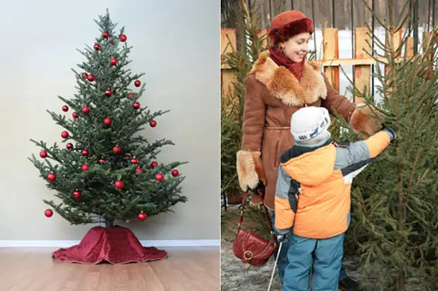 Scegliere un albero di Capodanno