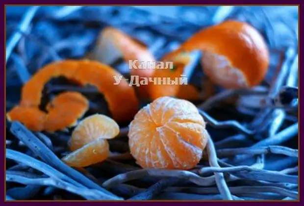 De ce nu puteți arunca crustele de tangerină (vârfuri de grădini cu experiență)