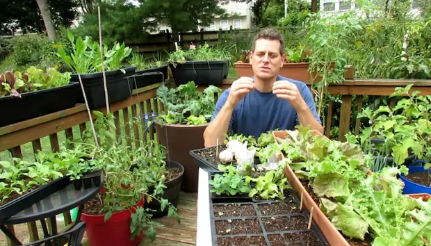 L'auteur et les pousses de tomates après l'alimentation biologique.