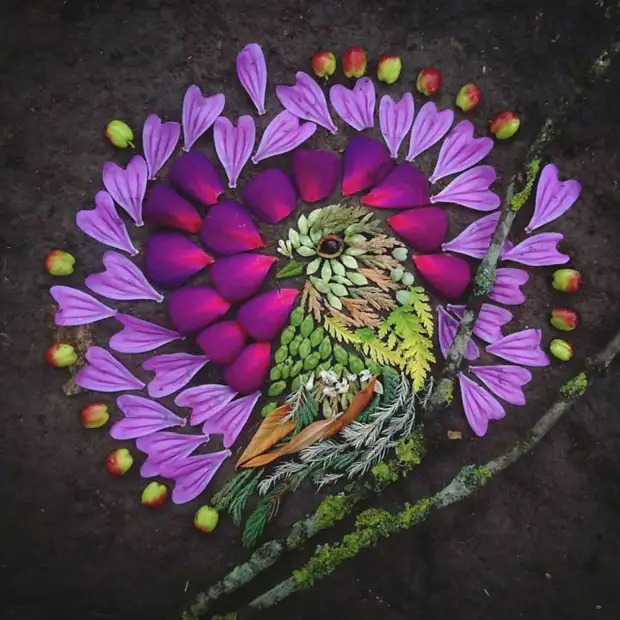 15+ birds from flowers from which it is impossible to take eye