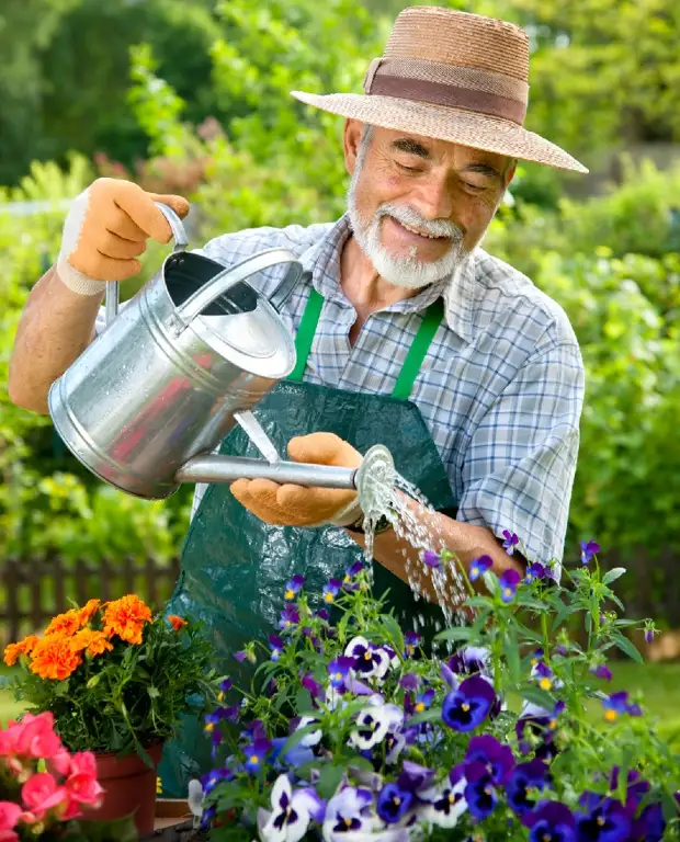 Baharda geranium reproduksiyası