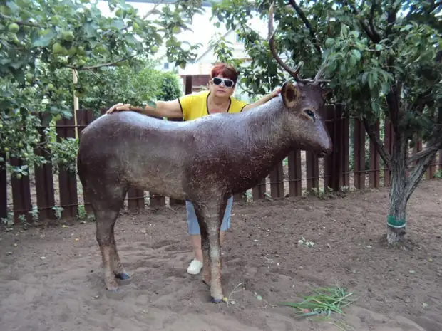 Reindeer tina botol plastik