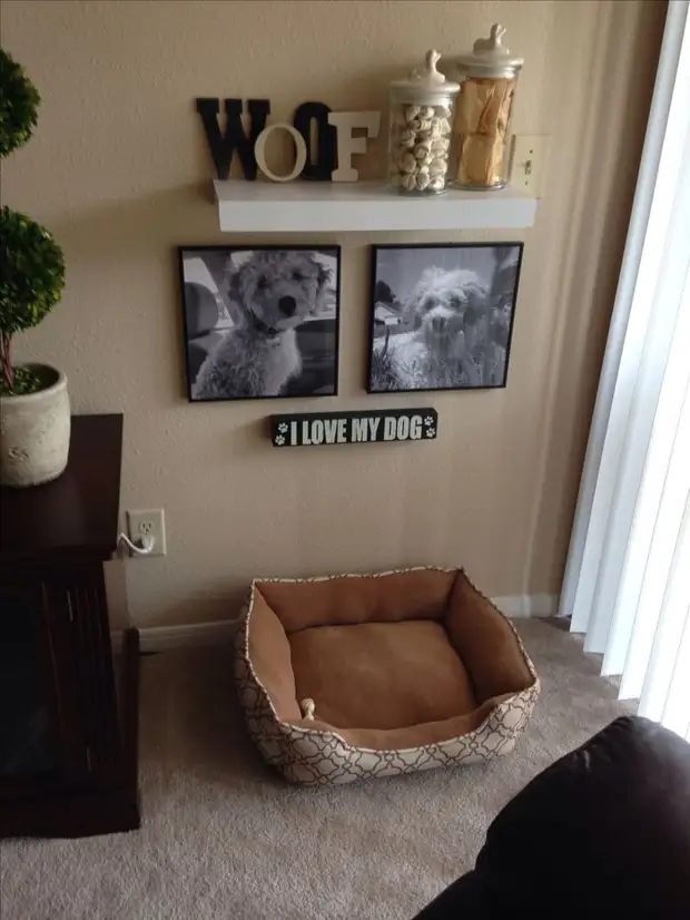 Pet in the house: 19 interesting beds for domestic pets