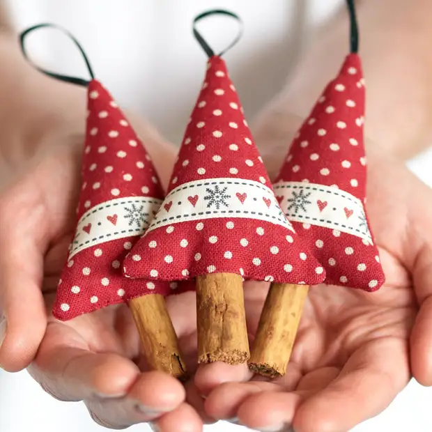 Creeu un ambient d'any nou: com fer sobres fragants-Nadal