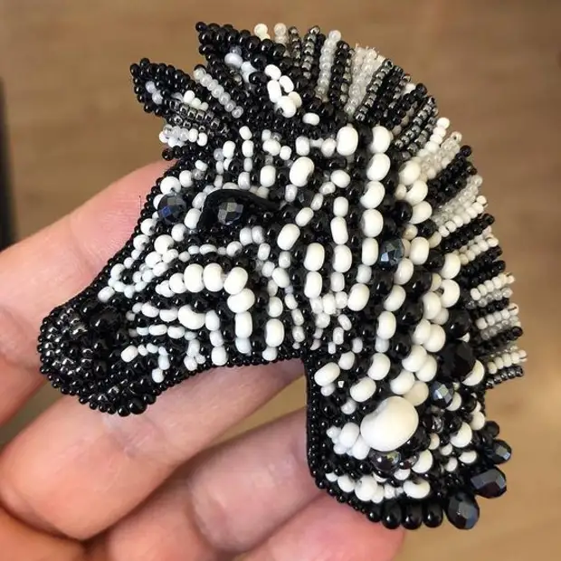 Zoo siab embroidered Brooch: 35 Cov Tswv Yim Rau Kev Tshuam