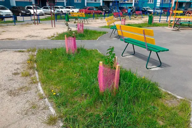 Alley of Lilac. Foto: Od arhiva objave junak