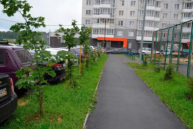 Maskloj ankaŭ alvenis. Foto: De la Arkivo de la Heroa Publikigo