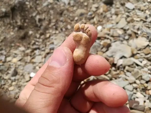 Tagata i le isi itu, taumafai e tausia se tasi po o se isi foliga. E te iloa nei tupe e sefe ai se efuefu-enaena-raspberry porotini? O lea ou te iai foi! O le a ou vaai i le palu na pa'ū i totonu o le puddle - O le a ou fesoasoani moni ia te ia e alu i fafo - tuu o ia, ou te le lagona le salamo. sami, nila, iʻa, faia oe lava, faia oe lava ia