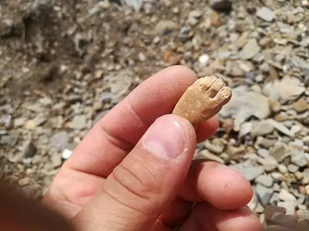 مون سوچيو، ۽ شايد اسان مداخلت ڪريون ٿا؟ شايد اهو بگ مرڻ گهرجي. يا پروٽين جي اها آبادي هڪ ٻئي ظاهري شڪل کي ڏيڻ گهرجي. يا اهي چڪر وارا ماڻهو ڌرتي کي تسليم نه ڪندا هئا ... اسان ان کي بچائڻ جي ڪوشش ڪري رهيا آهيون؟ سمنڊ، سوئل ورڪ، مڇي، پنهنجو پاڻ کي ڪريو، پنهنجو پاڻ کي ڪريو