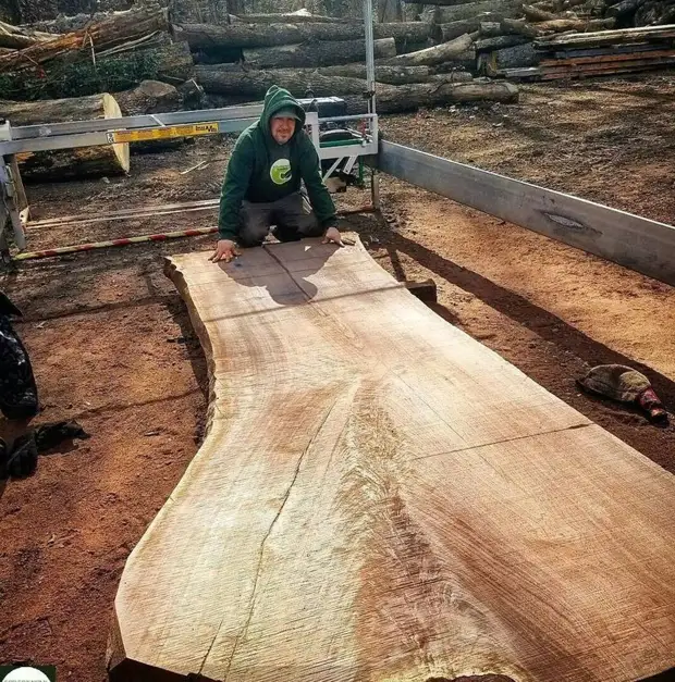 Cos'è la lastra di legno? albero, interni, mobili, fai da te, fai, sleba