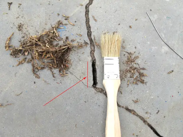 Konkrete Site mit ihren eigenen Händen unter dem Baum lackiert