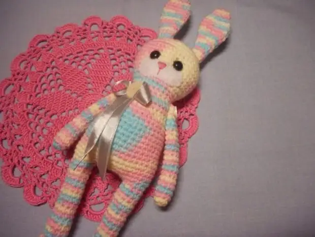 Amigurumi za početnike. Kukičane igračke s shemama i opisima rada