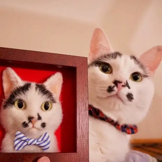 Ang Japanese ay lumilikha ng lana 3D portraits ng mga pusa sa mga litrato, at maaari silang madaling malito sa orihinal