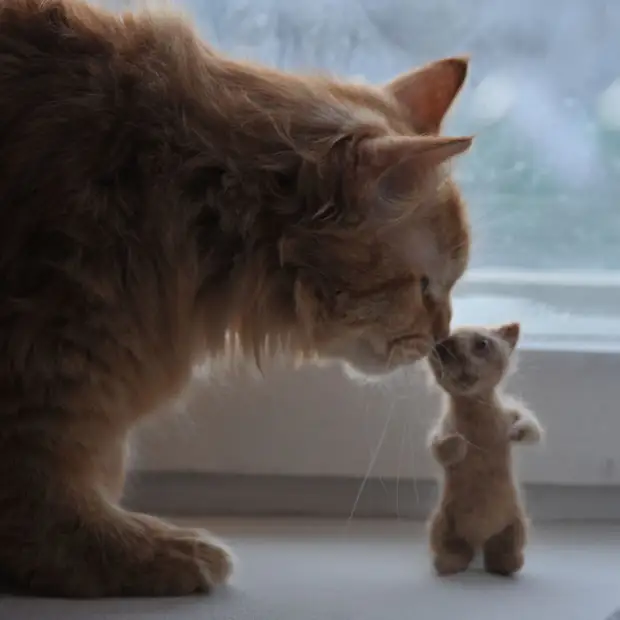 Ég safnaði ull kattarins og skapaði minni útgáfu hennar