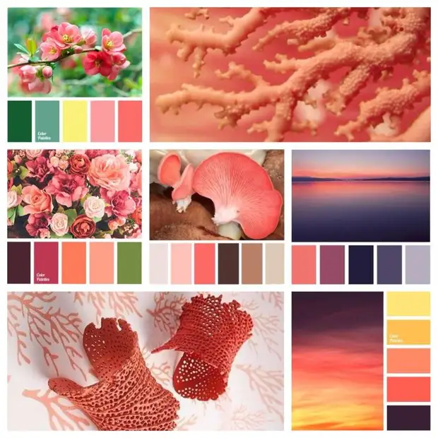 Coral Color Combinations