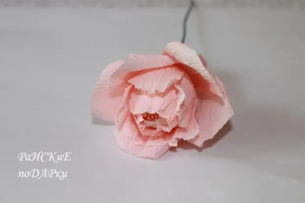 Master class: Rose from corrugated