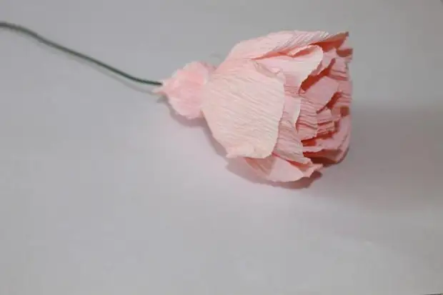 Majstra Klaso: Rose de Corrugated