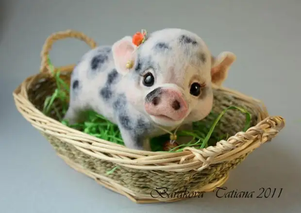 Felt igračke - primećena svinja. Fotografija