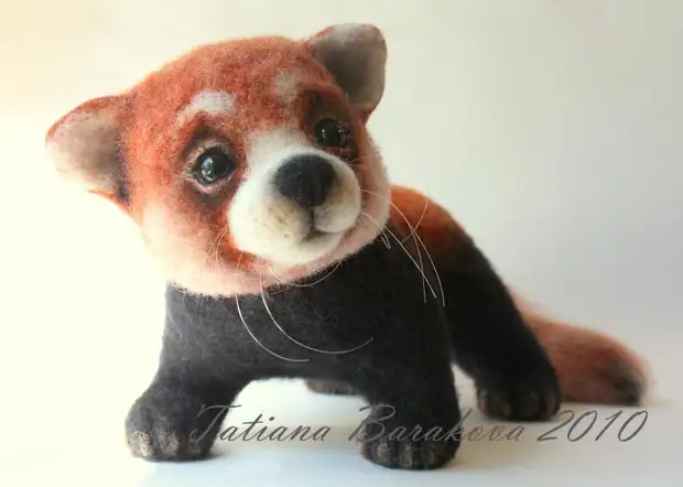 Filca rotaļlieta - sarkanā panda. Fotogrāfija