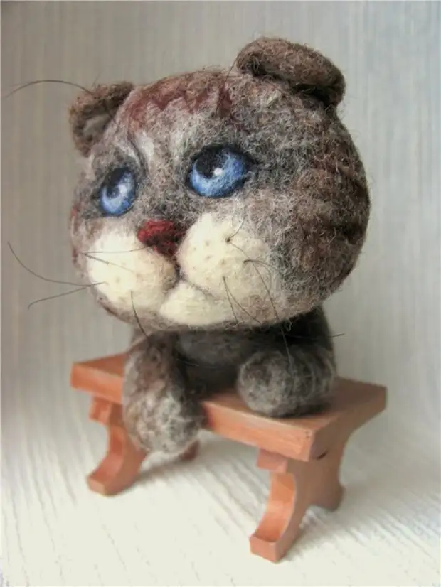 Fild Toys - Blue-Eyed Cat. Zdjęcie