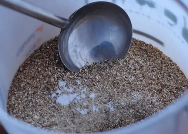 Hausgemachtes Brotbier machen