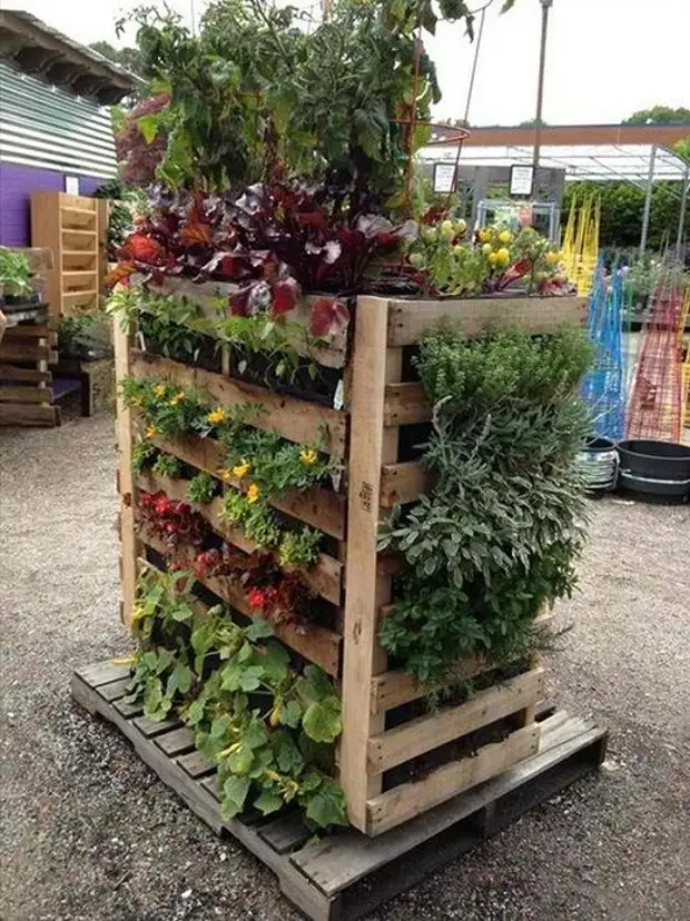 Design fra en treboks som vil gi bare positive følelser på tidspunktet for blomstrende planter i den.