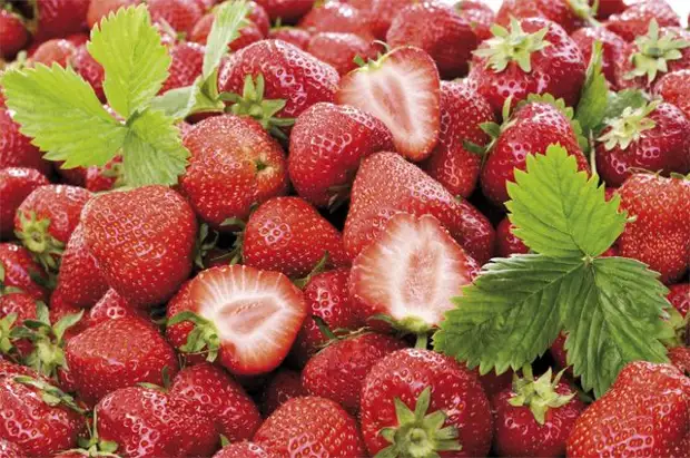 Litšoantšo tse kopang selemo sa Strawberry se buloa: Mokhoa oa ho khetha monokotsoai oa bohlokoa ka ho fetisisa