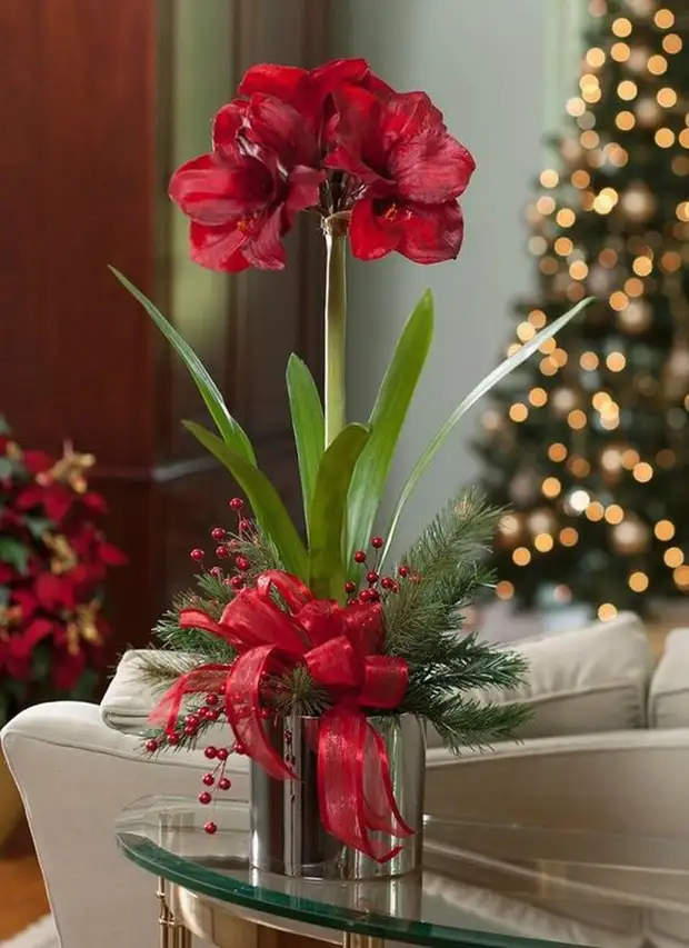 Winter bouquet and christmas compositions. MASTER CLASS