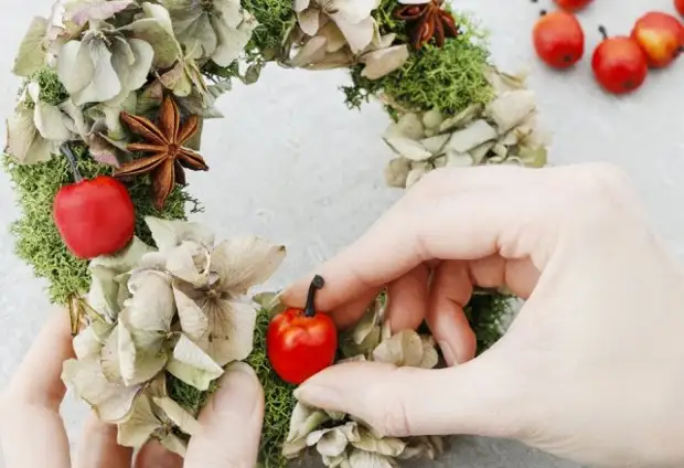 Hvad kan gøres fra tørre blomster af Hydrangea